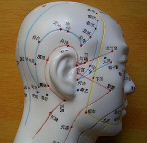 Acupuncture Training model