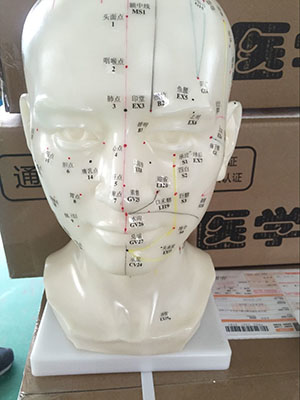 Model：BIX-Y1013