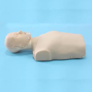 Half Body cardiopulmonary resuscitation Simulator
