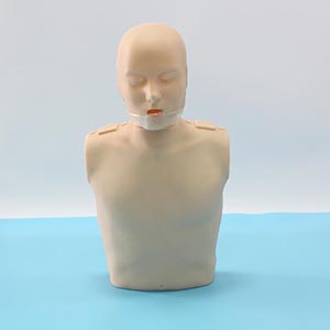 CPR model
