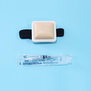 Intramuscular injection model