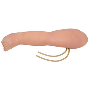 Advanced Infantile leg venipuncture Model