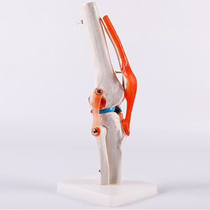 BIX-A1025