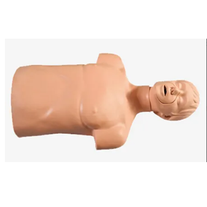 Advanced adult airway infarction and CPR model