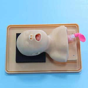 Neonatal Tracheal intubation model