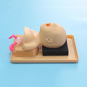 Tracheal intubation model