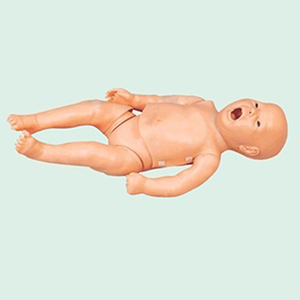 Advanced Infant Simulator