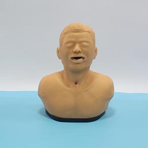 Adult tracheotomy Nursing model