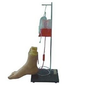 Foot intravenous injection model